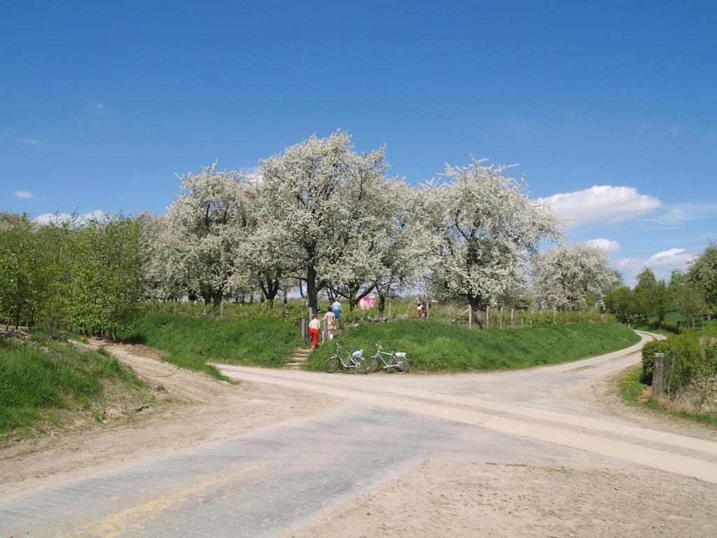 Vakantiehuis De Jölenberg